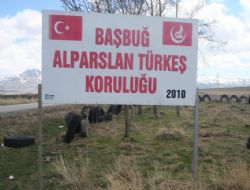 MHP'den ağaçlandırma seferberliği